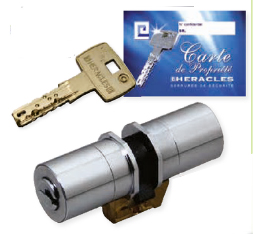 Cylindre De Serrure Heracles Y7+ – Acier Inoxydable, Pêne Dormant 6 Cm, Finition Acier